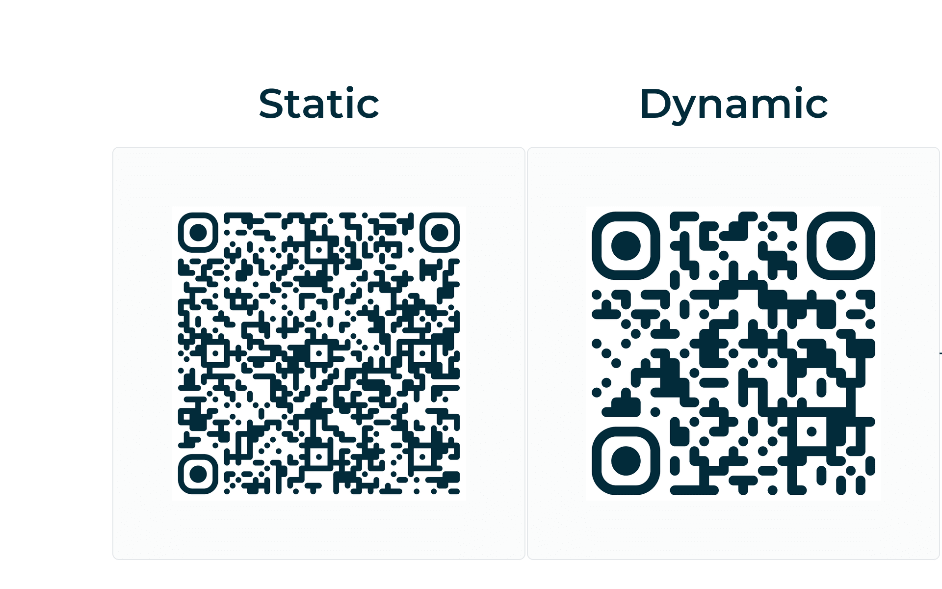 Static vs dynamic QR code comparison with real codes